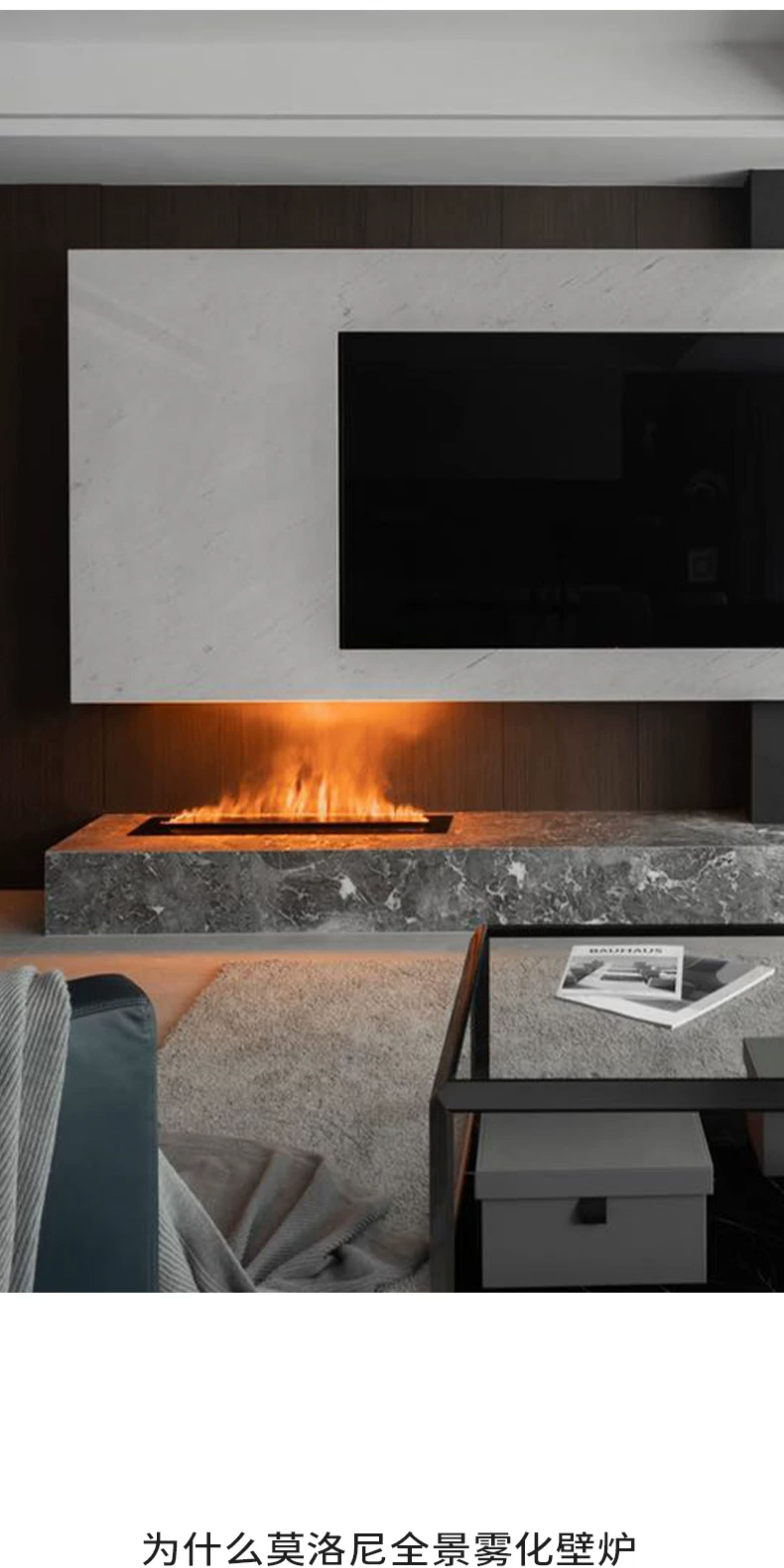 Moloney View 150 Chimenea de vapor de agua — Detalles del producto 9