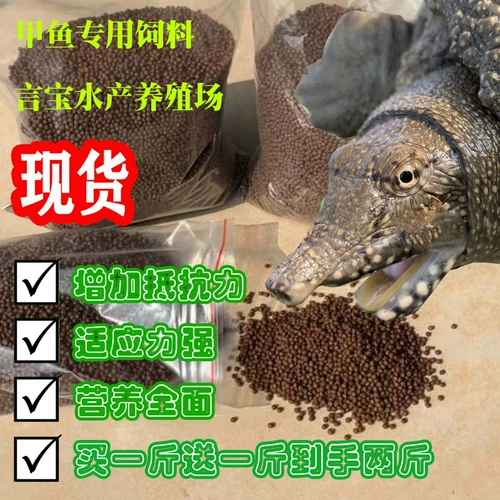 Небольшая сельскохозяйственная группа рыб король король Baya Turtles китайские кормления черепахи кормление черепахи Специальная черепаха вода рыба головастики