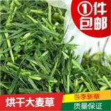 Сено для морской свинки, ячмень, морская свинка, крыса, упаковка 800 г, секция корма для кошек, морская свинка, кролик, кольчуга дракона, 1 шт., голландская трава