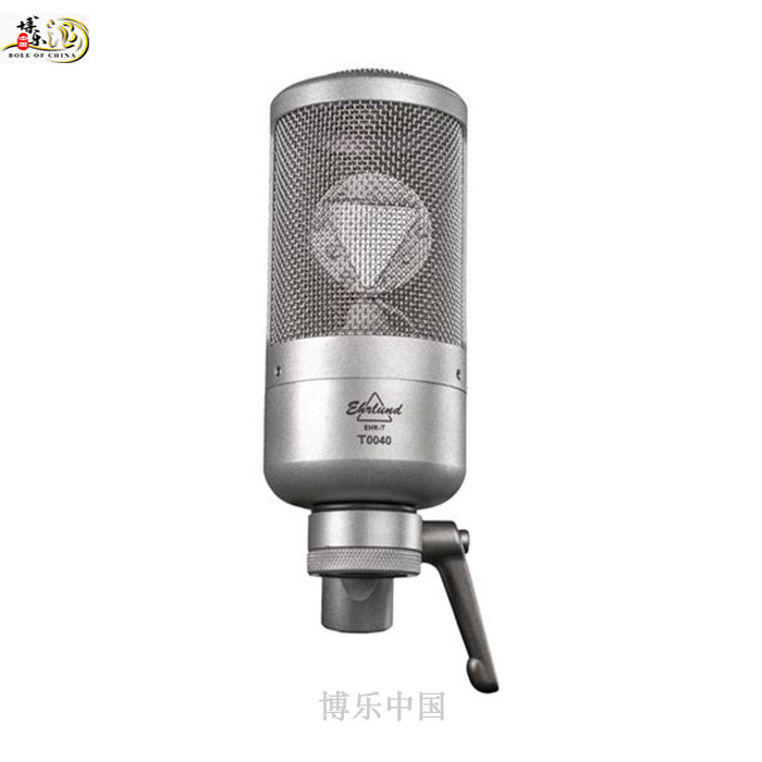 Ehrlund Mics EHR-T Condenser Microphone