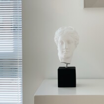 Sophia Health goddess Hygeia Hygeia statue sculpture plaster ornament