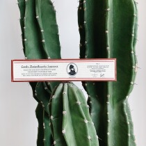 (Discount)Candy Designworks Japan CDW Pure natural handmade thread incense indoor fragrance