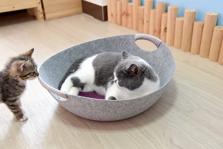 Mùa xuân và mùa hè Trại nuôi mèo mèo cưng tổ rửa mèo nhà mèo Four Seasons cung cấp nhà ngủ mèo mèo chăn rác chảo - Cat / Dog hàng ngày Neccessities 	hộp đựng đồ ăn cho chó
