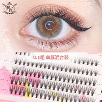 Dream Deer false eyelashes female natural dense single cluster hair C 1 Cluster 20 grafted 0 1 100 cluster mixed