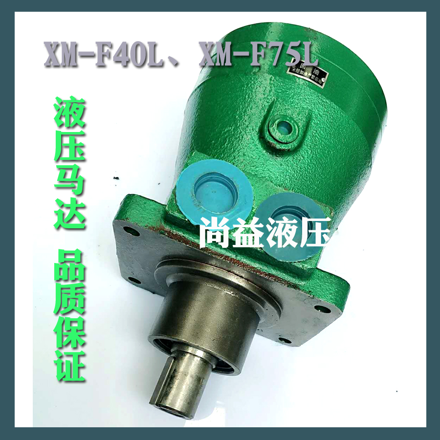 Axial piston pump (motor) XM-F40L ZM40 hydraulic motor XM-F75F ZM75 crane dedicated