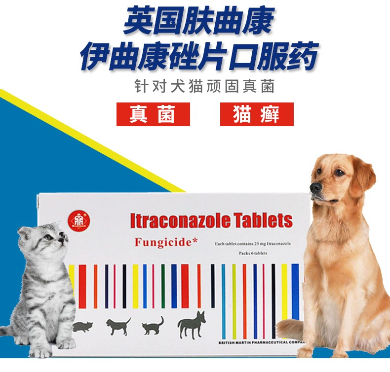 Viên thuốc Fuqu Khang itraconazole mèo ringworm nemesis chó và mèo khử nấm - Cat / Dog Medical Supplies