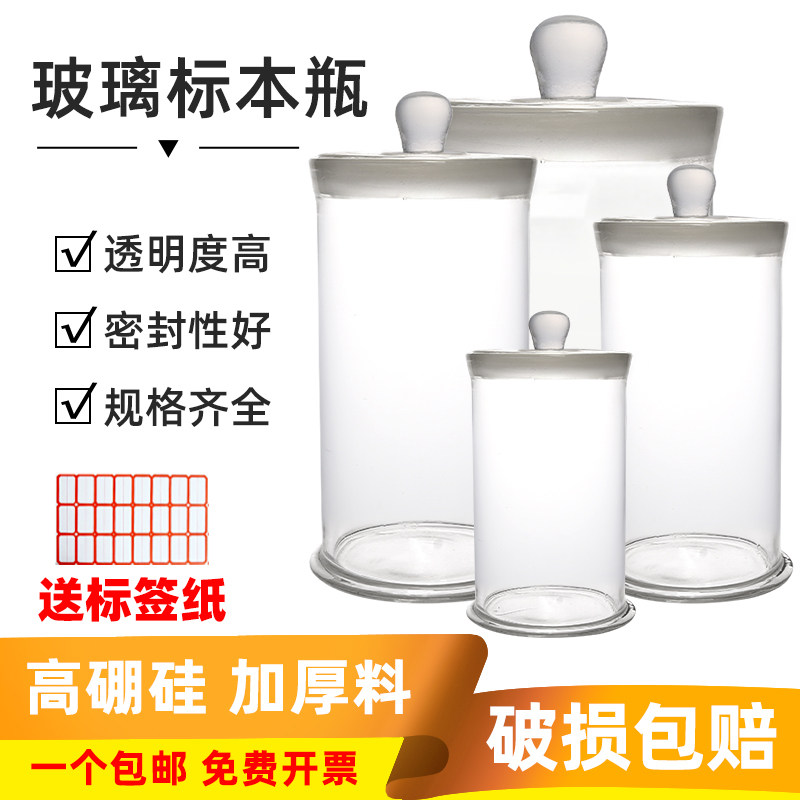 高硼硅玻璃标本瓶磨砂广口样品展示瓶实验室透明加厚动植物标本缸