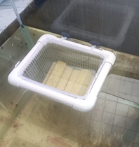 Self-floating isolation breeding box in the fish tank black shell shrimp separation net guppy birth box hatching frame net large delivery room