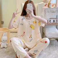 HDX короткая длина TT019-Women