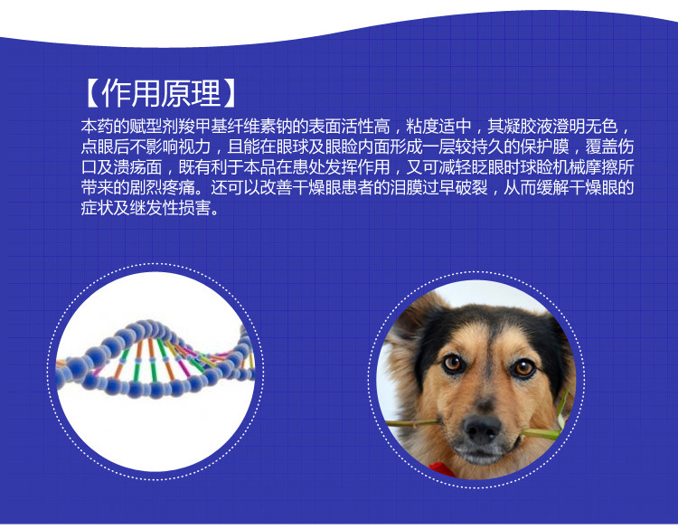 Swiss Su Gao Jie Kem mắt 5g Thuốc mỡ mắt mèo Viêm gan loét Pet Pet Conjuncunch viêm Dog Eye Potion - Cat / Dog Health bổ sung sữa cho chó biếng ăn
