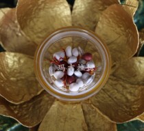 Shakyamuni Buddha G K Buddhist Offering Tibetan Offering Relic Gawu