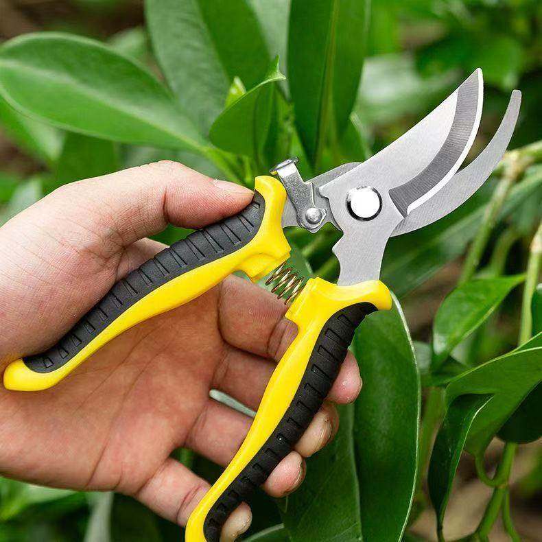 Garden Pruning Shears, Flower Shears, Gardening Scissors, Floral Scissors, Branch Shears, Fruit Tree Scissors, Branch Pruners, Flower Pruning Scissors