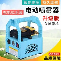 Rechargeable water pump portable household outdoor vegetable pouring rechargeable pump 12V small water pump medicine pump