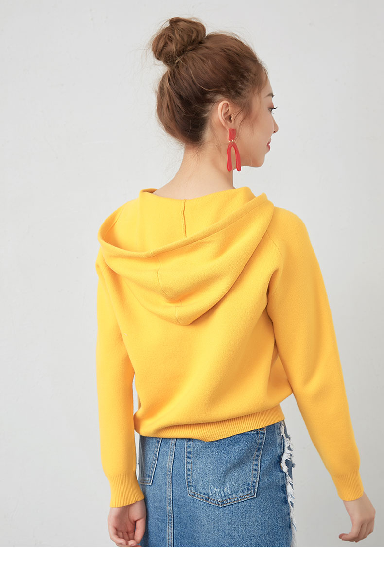 Sweatshirt femme IEF    - Ref 3217067 Image 10