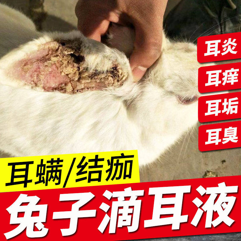 Rabbit ear drops ear lotion for pet rabbit ear canal cleaning, anti-mite, anti-inflammatory, sterilization, scab and head disease medicine