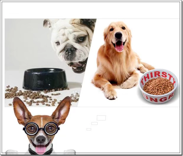 Pet pet pot dog bát bát đơn bảo vệ sáng tạo cổ tử cung gốm mèo thức ăn mèo nước bát hàng ngày cần thiết bát cơm chó - Cat / Dog hàng ngày Neccessities