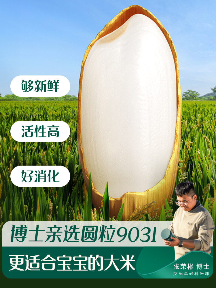 Yingshi Vitamin C and Iron Rice Cereal Baby Food Supplement High-Iron Rice Cereal for Babies Stage 1 Canned Original Flavor 258g