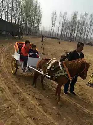 Two-wheeled leisure wagon Schetland pony cart dog pull cart sheep cart sports outdoor shopkeeper recommended sale sale