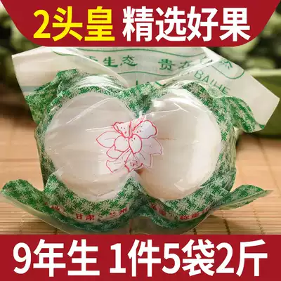 SF 9-year-old Lanzhou lily fresh sweet lily 1000g Two-headed emperor Gansu Baihe premium dry goods