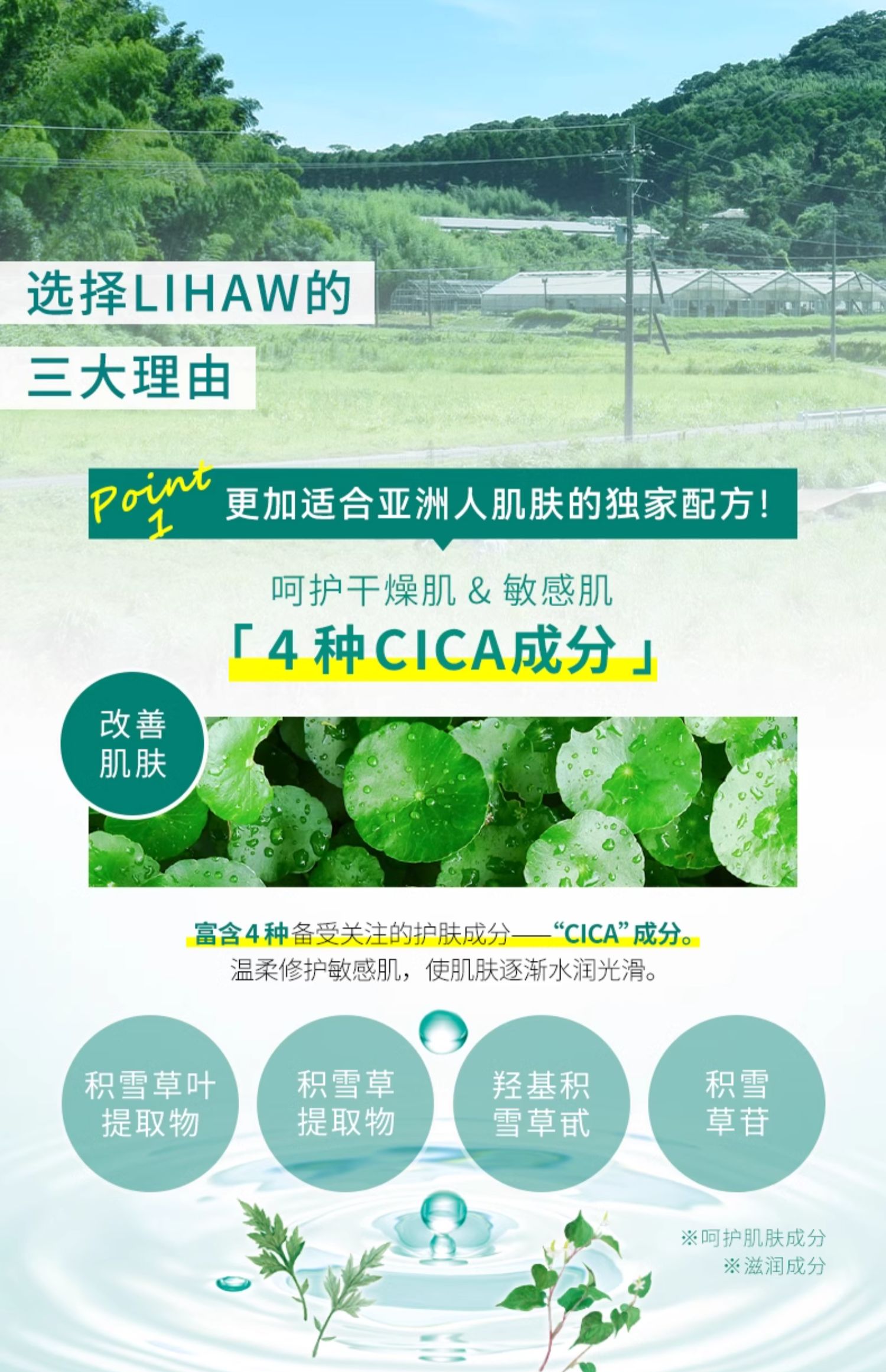 【日本直邮】利尻昆布LIHAW丽花积雪草面膜10片装 #补水保湿滋润舒缓贴片式