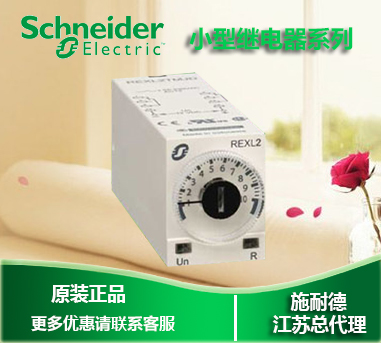The original Schneider Time Relay - REXL2 TMBD DC24V power delay