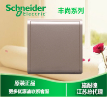 Schneider switch panel Fengshang intoxicated Jin Fengshang gold socket bezel blank panel white cover whiteboard