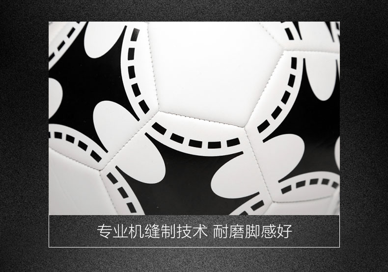 Ballon de football - Ref 7486 Image 33