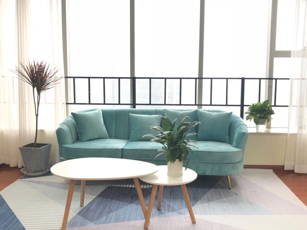 Bắc Âu đơn giản căn hộ nhỏ ánh sáng sang trọng màu xanh nhung vải sofa cửa hàng quần áo lưới phòng ngủ màu đỏ sofa đôi - Ghế sô pha ghế sofa đơn