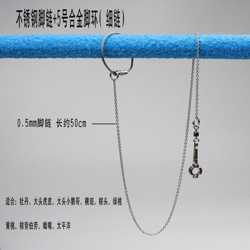 Extended parrot anklet Magpie Sun stand chain Movable buckle Stainless steel parrot anklet Bird cage chain