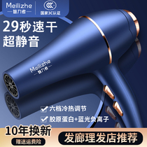 German Electric Hair Dryer Home Hair Salon High Power Barber Shop Xiaomi Negative Ion Cold Hot Wind Silent Big Wind