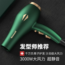 Large wind barber shop electric hair dryer Home High power speed dry blow wind-dryer Xiaomi negative ion protective hair salon special
