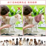 Собака для красоты наушники, профилактика шума