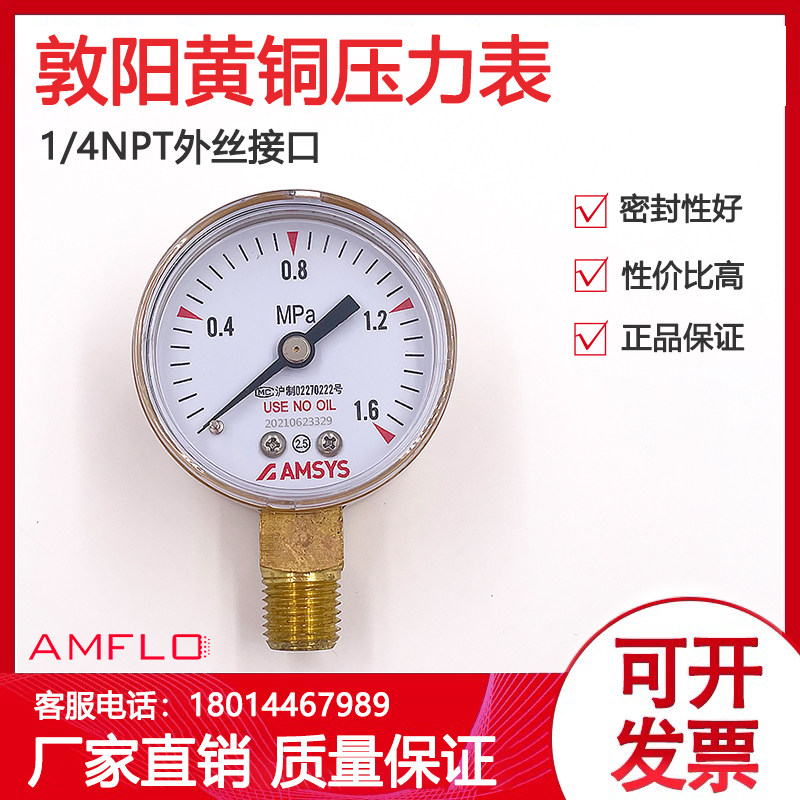 敦阳AMFLO黄铜压力表减压阀配套1/4NPT外丝接口0.6 1.6 2.5 25Mpa