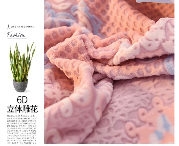 5D khắc gia đình nhung san hô bốn luật Levin cashmere flannel mùa đông dày hai mặt giường pha lê nhung vải quilt - Bộ đồ giường bốn mảnh chăn gối