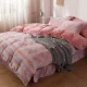 5D khắc gia đình nhung san hô bốn luật Levin cashmere flannel mùa đông dày hai mặt giường pha lê nhung vải quilt - Bộ đồ giường bốn mảnh