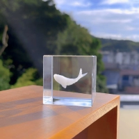 "Кито, путешествуя в море облаков" Cloud Crystal Cube Swing Forc