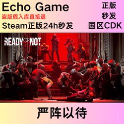Steam Genuine Version Ready or Not China Region Activation Code Cdk Ready or Not