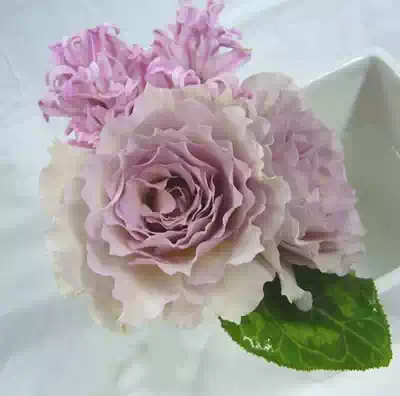 王妃花社新浪潮 New Wave 日本月季ht切花偶尔开复古色浓香