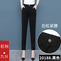 20188. Hou Loose Taista