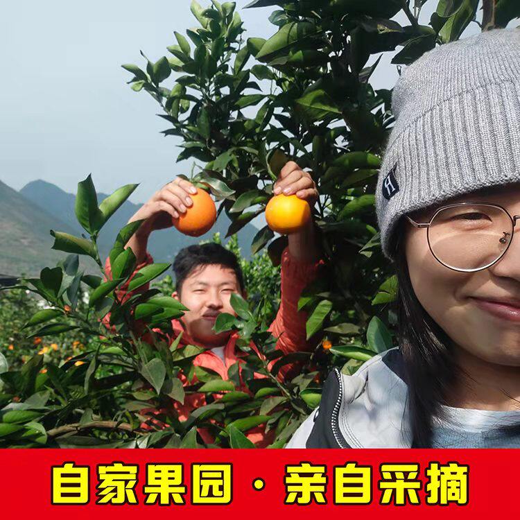 雷波脐橙庄园的LOGO