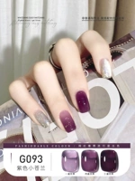 G093 Purple Little Canglan