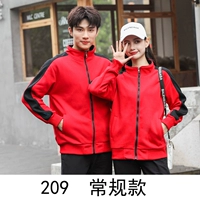 209 Красная обычная модель