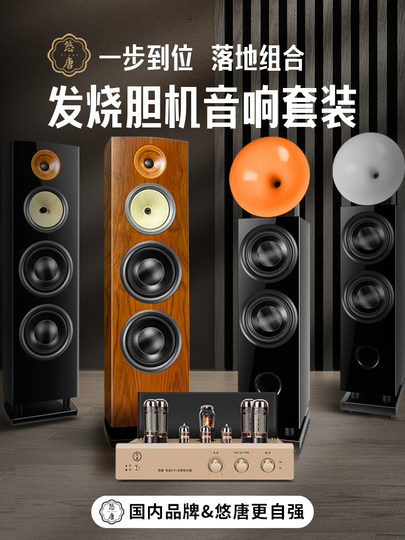 Youtang N3 N5 Audiophile-Grade Hifi Pure Tube Amplifier Floor-Standing Speaker Combo Set Home Amplifier Floor-Standing Speaker System