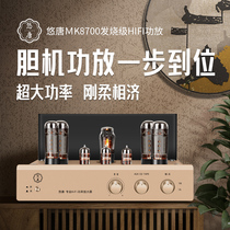 Yotang MK8700 pure bile machine power amplifier fever hifi high power push-pull tube home high-end power amplifier