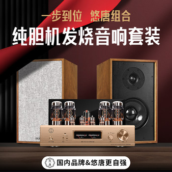 Youtang D998 Tube Amplifier Combo Audio System Audiophile-Grade Cd Player Hifi Home Kt88 Tube Amplifier Speaker Set
