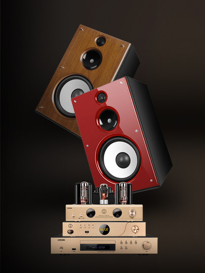 U-Tang D598 Verstärker-Kombination, Audio-HiFi-Audiophile-Heim-Bluetooth-CD-Player, Röhrenverstärker-Lautsprecherset