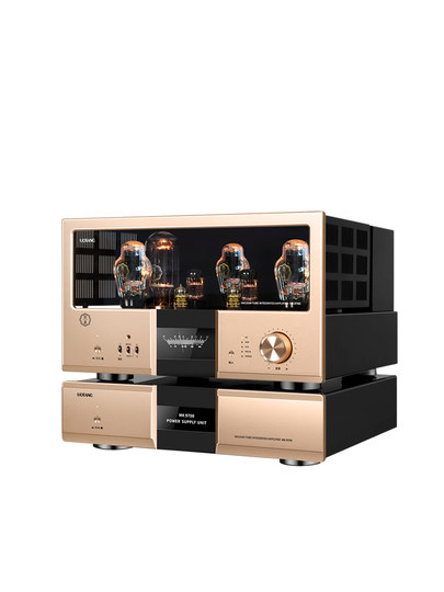 Youtang Mk9700 Pure Tube Amplifier Audiophile-Grade 300B Pushes 845 High-End Hifi Single-Ended Class a Tube Amplifier