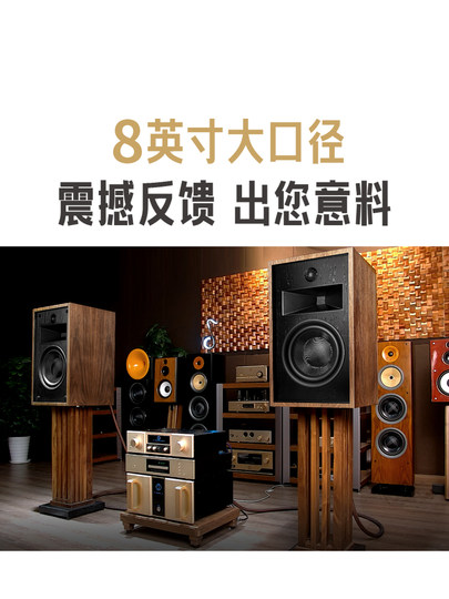 Youtang T701 Audiophile-Grade Bookshelf Speakers Hifi Home Three-Way Tweeter 8inch Horn Passive Speakers