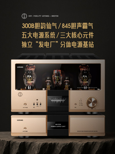 Youtang Mk9700 Pure Tube Amplifier Audiophile-Grade 300B Pushes 845 High-End Hifi Single-Ended Class a Tube Amplifier