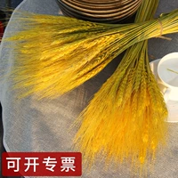 1000 золотистого желтого цвета (высота около 50 см)